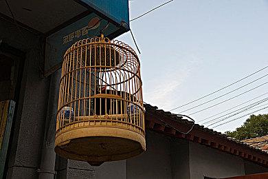 Epic喜加一：《尤库的小岛速递》免费领取